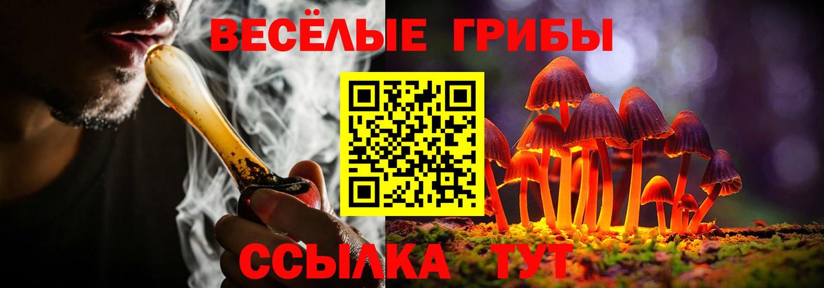 Псилоцибиновые грибы Magic Shrooms Советск