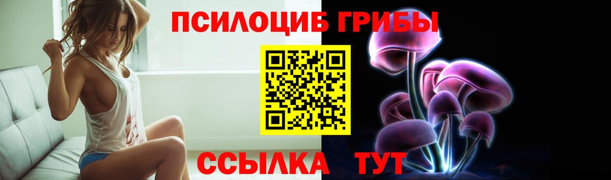 Советск  Галлюциногенные грибы GOLDEN TEACHER  Вход с VPN 